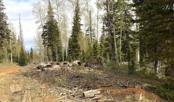 646 W Ski View Dr, Brian Head, UT 84719
