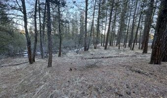 Bobcat Circle, Beatty, OR 97621