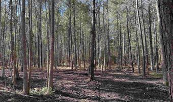 TBD County Line Rd, Andrews, SC 29510