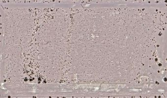 2222 W Happeny Ct, Amargosa Valley, NV 89020