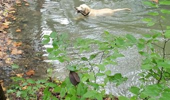 4775 S 50th Rd, Aldrich, MO 65601