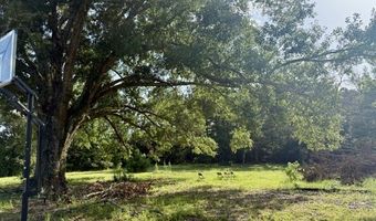 115 Jackson, Bienville, LA 71008