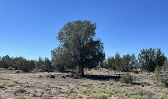 18 B Warren Run Rd, Ash Fork, AZ 86320