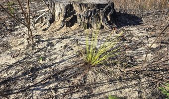 1228 River Rd, Ariton, AL 36311