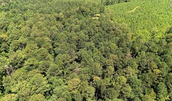 County Road 25, Banks, AL 36005