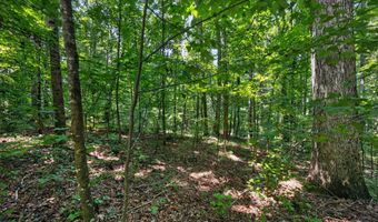 1322 Center Dr, Auburn, GA 30011