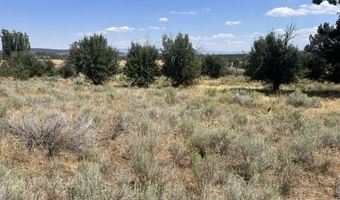 Ranch Rd, Alturas, CA 96101