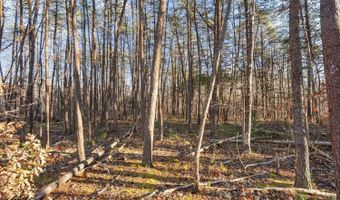 1510 Beacon Hill Rd A, Afton, VA 22920