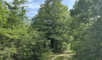 40 Ac +/- Old River Rd, Baker, FL 32531