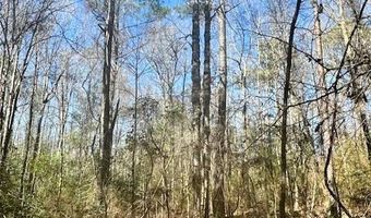 0 Tervin Mill Rd, Andalusia, AL 36421