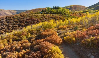 Trentaz Drive, Aspen, CO 81611