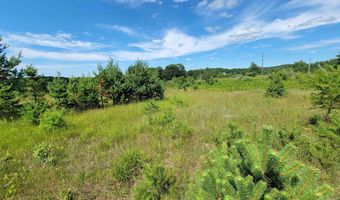 Parcel D Cemetery Road, Alden, MI 49612