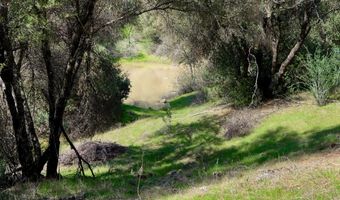 6 Knickerbocker, Ahwahnee, CA 93601