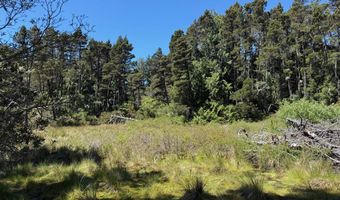 87219 BEACH Ln, Bandon, OR 97411