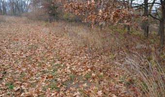 3366 Ludlow Rd, Albion, MI 49224