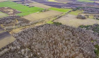 000 Brown, Applegate, MI 48401