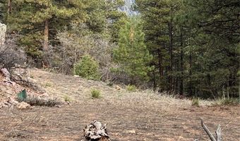 Lot R-56 private dr, Chama, NM 87520