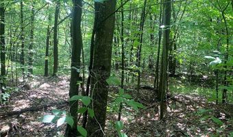 Cr-38, Alma, NY 14708