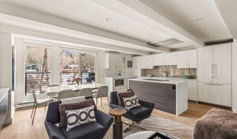 1039 E Cooper Ave 20, Aspen, CO 81611