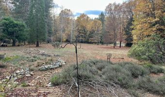 2273 Flanders Dr, Arnold, CA 95223