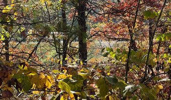 BRENDA Lane, Basye, VA 22810