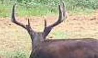 240 Magnolia Ln, Bennington, OK 74723