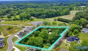 1453 S Broad St, Albertville, AL 35950