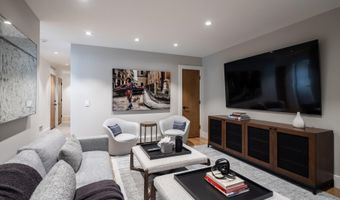 314 N Riverside Ave 2, Aspen, CO 81611
