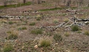 Hwy 395 unit 1 1, Gardnerville, NV 89410