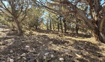 1037 S Canyon Dr, Cedar City, UT 84720