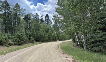 Back Basin Road lot 4, Angel Fire, NM 87710