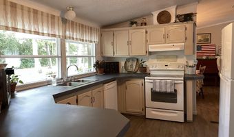 2166 Healing Springs Rd, Blackville, SC 29817