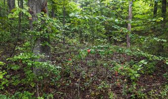 County Road Jj-416, Ava, MO 65608