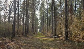 U.S. Highway 51, Bogue Chitto, MS 39629