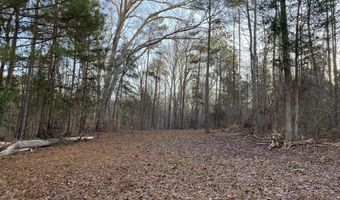 Tbd Spann Road, Batesburg Leesville, SC 29006