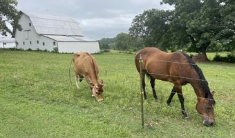 1107 Lower Ford Rd, Ava, MO 65608
