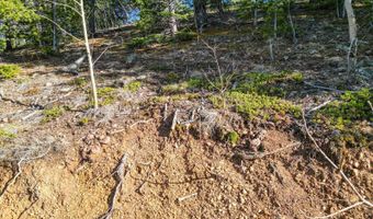 272 Wise Rd, Bailey, CO 80421