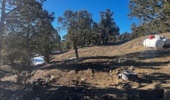 132 White Tail Pl, Arboles, CO 81121