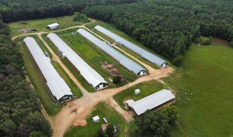 1613 N Bradley 8 Rd, Banks, AR 71631