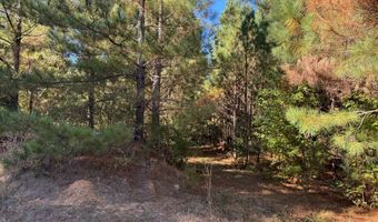 Smith County Road 18-5a, Bay Springs, MS 39422