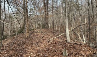 Highway 105, Baldwin, GA 30511