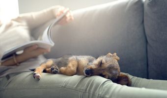 3701 Heritage Farm Ln Plan: Fairfax, Amelia, OH 45102