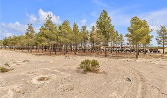 2253 N Saddleback Dr, Amargosa Valley, NV 89020