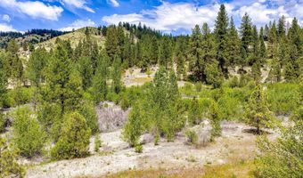 Napias Lot 4, Boise, ID 83716