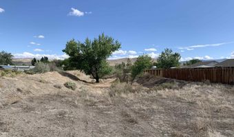 698 Jenny's Ln, Fernley, NV 89408