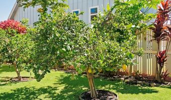 54 Waiapo St, Kihei, HI 96753