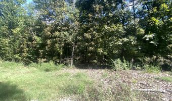 Tbd E Ferrell Drive, Afton, OK 74343