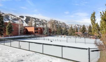 1021 VINE St, Aspen, CO 81611