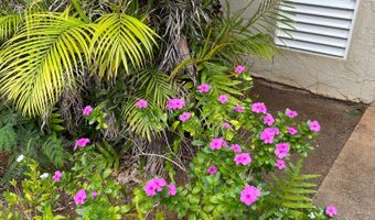 4461 KAMOA Rd D12, Kapaa, HI 96746