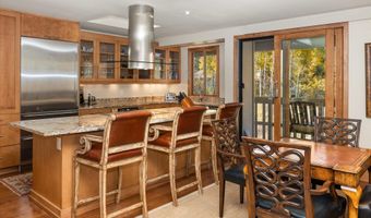 1020 E Hopkins Ave 9, Aspen, CO 81611